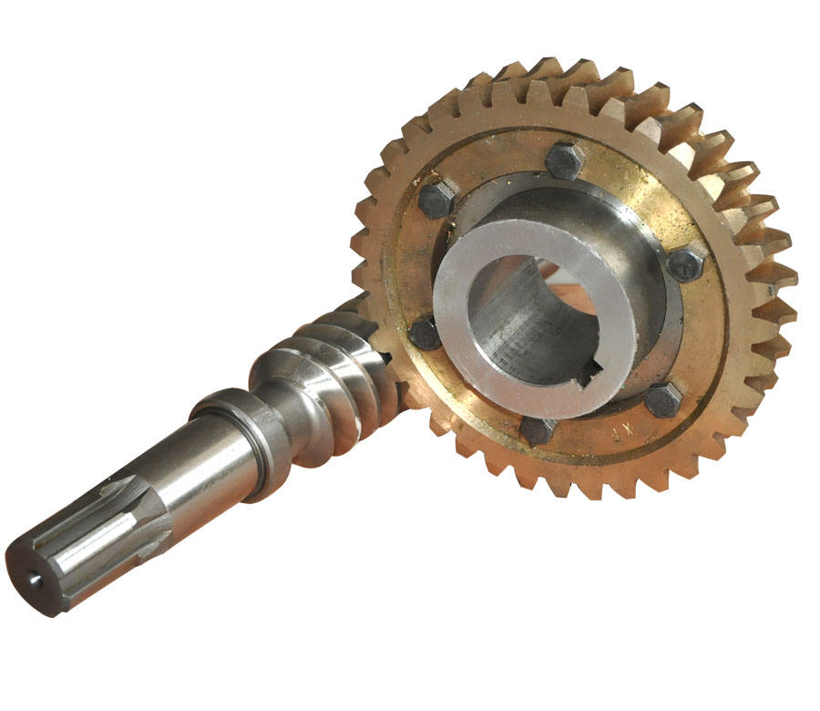 Auto Precision Worm Gears